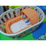 Shop Products