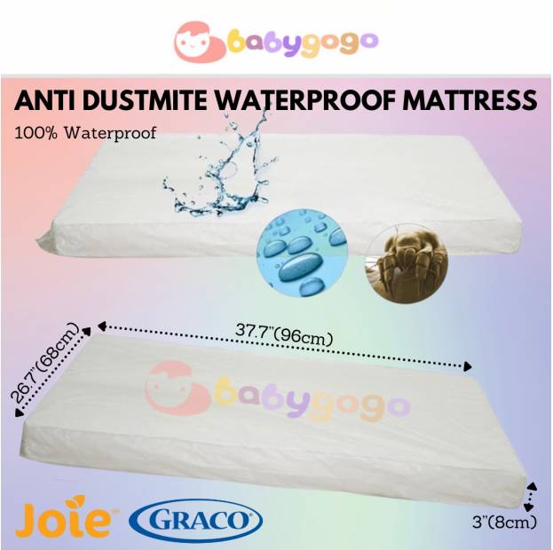 Shop Products