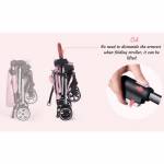 Shop Products