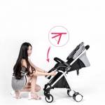 Shop Products