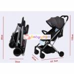 Shop Products