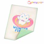 Shop Products