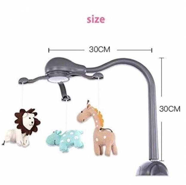 Shop Products