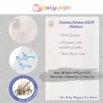 Shop Products