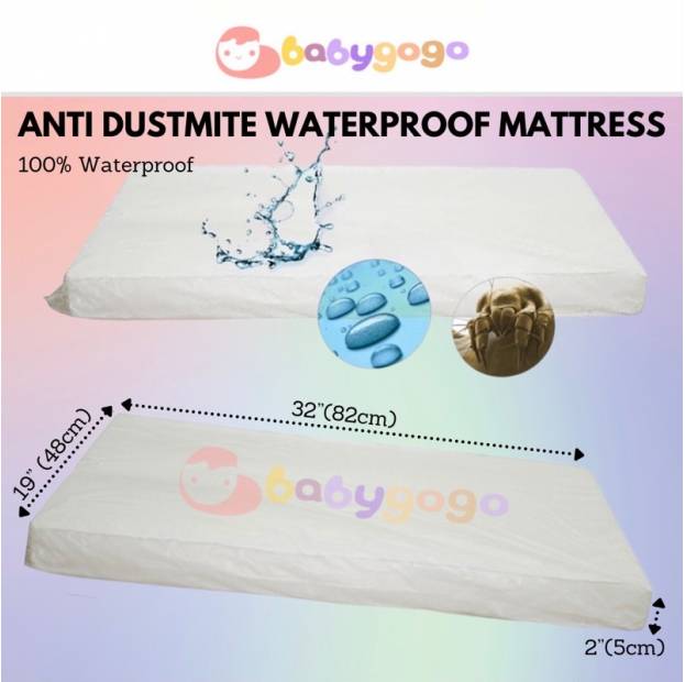 Shop Products