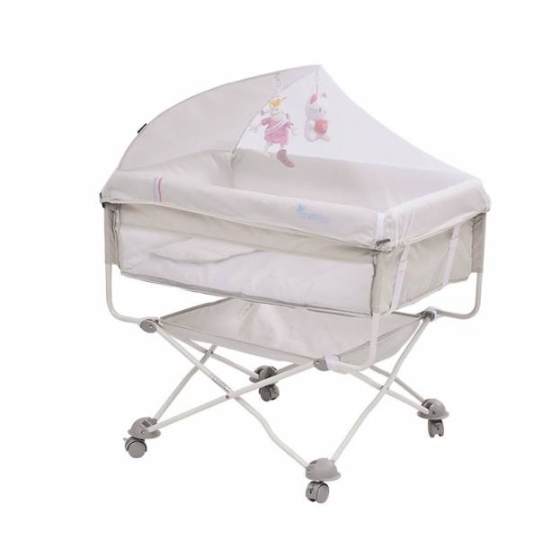 Shop Products