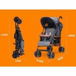 Shop Products