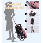 Shop Products